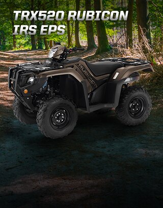 TRX500 Rubicon IRS EPS. Champion the trails. Image of rider confidently speeding through dirt trail.