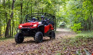 Les personnes conduisant le long d'un sentier forestier